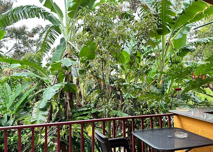 A Piece Of Paradise