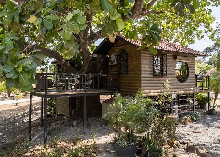 The Tree Cabins Quinta Pavo Real By Acomodo