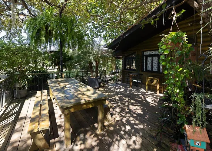 The Tree Cabins Quinta Pavo Real By Acomodo